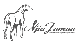 Njia Jamaa - Rhodesian Ridgeback Zucht