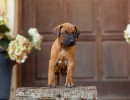 3e0a0277 bearbeitet