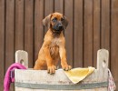 3e0a0586 bearbeitet